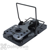 Alternate Image 1 Thumbnail