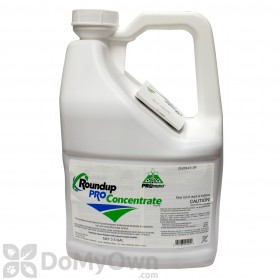 How often can I reapply Roundup Pro Concentrate?