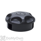 Alternate Image 1 Thumbnail