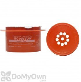 Vector 960 Fruit Fly Trap