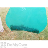 Alternate Image 1 Thumbnail