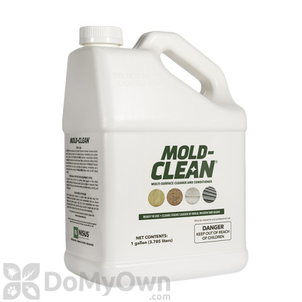 Mold-Clean