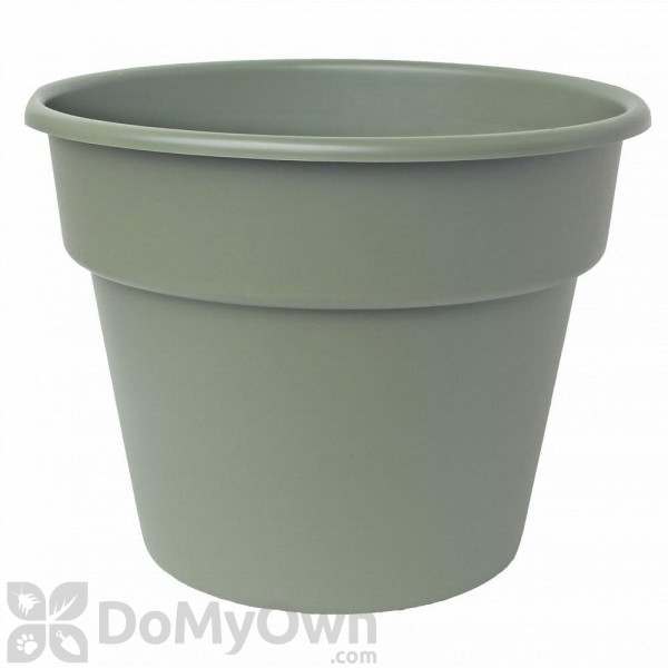 Bloem Dura Cotta Planter 12 in. Living Green