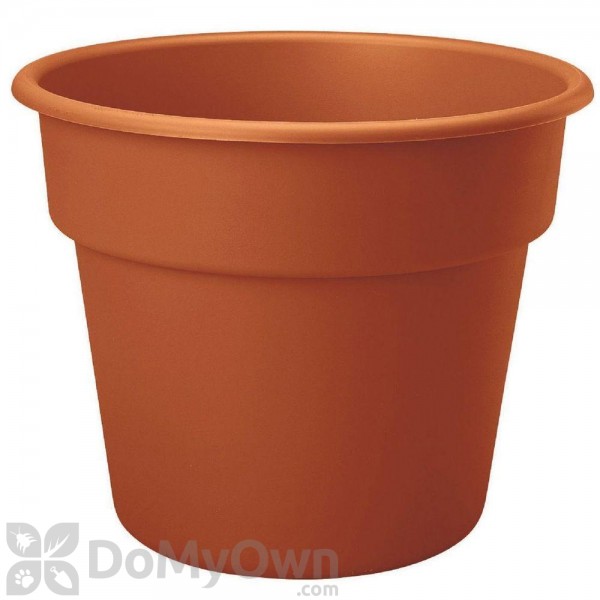 Bloem Dura Cotta Planter 12 in. Terra Cotta
