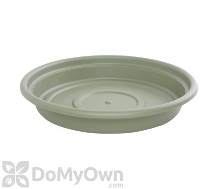 Bloem Dura Cotta Saucer 6 in. Living Green