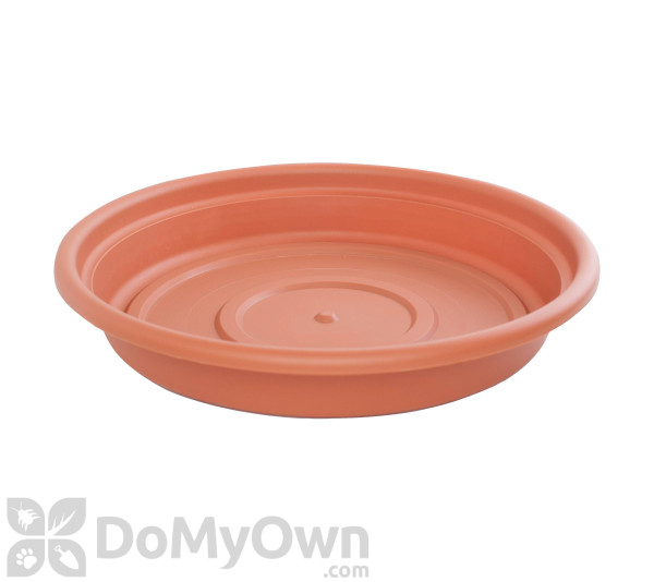 Bloem Dura Cotta Saucer 6 in. Terra Cotta