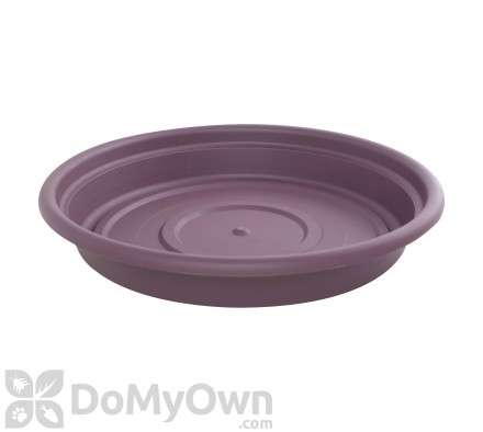 Bloem Dura Cotta Saucer 6 in. Exotica