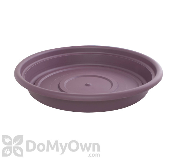 Bloem Dura Cotta Saucer 6 in. Exotica