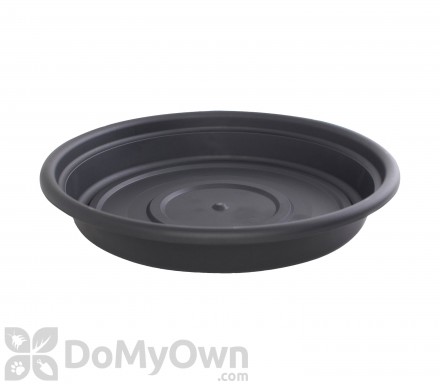 Bloem Dura Cotta Saucer 6 in. Black