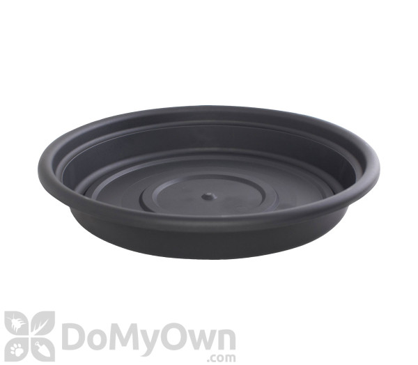 Bloem Dura Cotta Saucer 6 in. Black