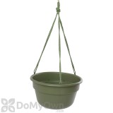 Bloem Dura Cotta Hanging Basket 10 in. Living Green