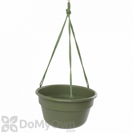 Bloem Dura Cotta Hanging Basket 10 in. Living Green