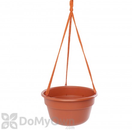 Bloem Dura Cotta Hanging Basket 12 in. Terra Cotta