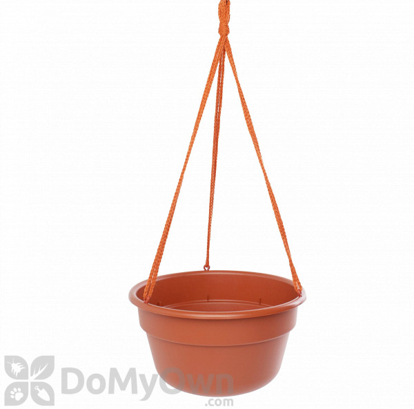 Bloem Dura Cotta Hanging Basket 12 in. Terra Cotta