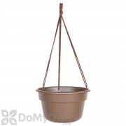 Bloem Dura Cotta Hanging Basket 10 in.