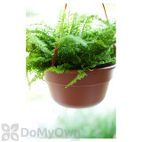 Alternate Image 1 Thumbnail