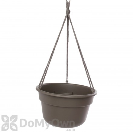 Bloem Dura Cotta Hanging Basket 12 in. Peppercorn