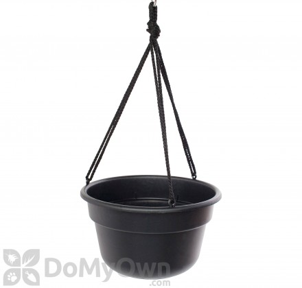 Bloem Dura Cotta Hanging Basket 12 in. Black