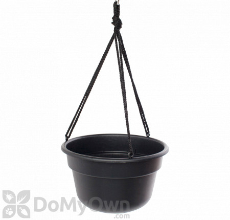 Bloem Dura Cotta Hanging Basket 12 in. Black