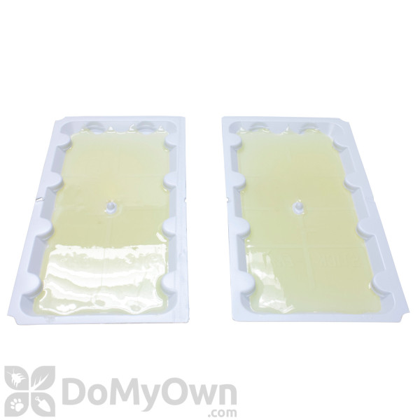 JT Eaton Stick - Em Rat/Mouse Glue Trap 111PRE - CASE