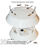 Alternate Image 3 Thumbnail