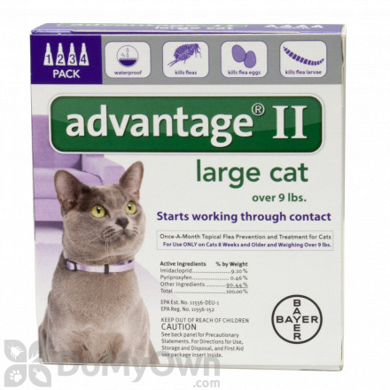 Advantage II for Cats Large