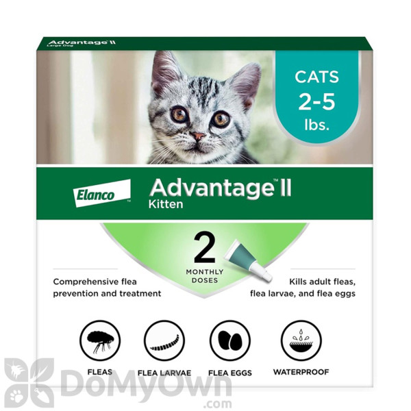 Advantage II for Cats - Kittens