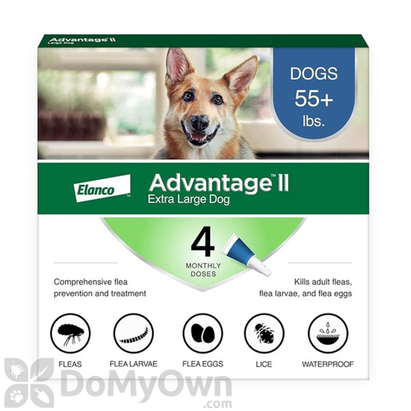 Advantage II for Dogs - Extra Large
