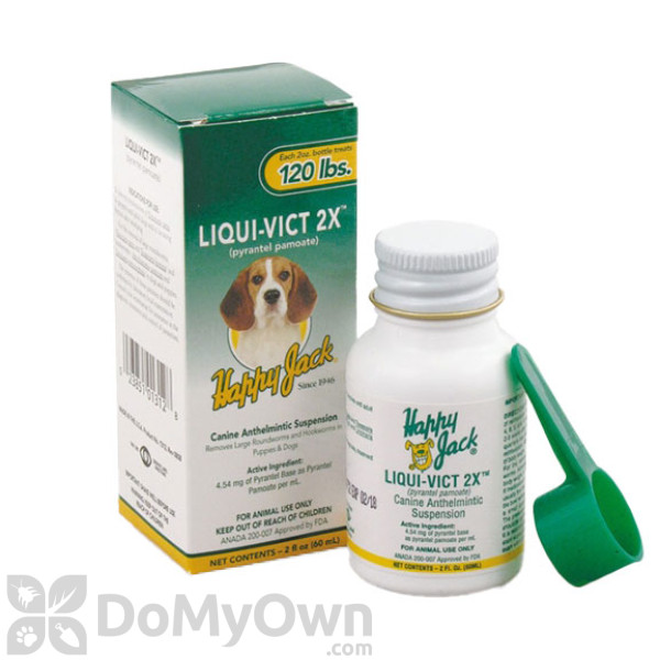 can you give dewormer to a pregnant dog