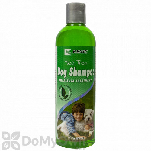 tea tree dog shampoo