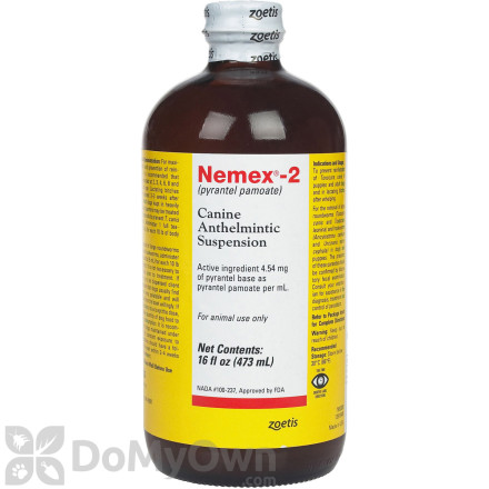 Nemex-2
