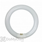 Synergetic Bulb -  22 watt Circline (TGX22)