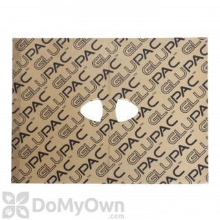 image of Flypod Glue Boards