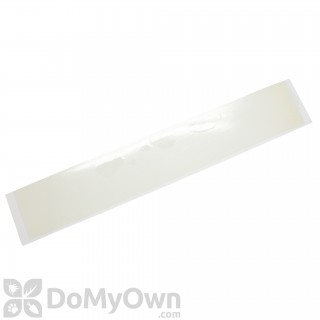 image of Catchmaster 72XL Glue Boards (Box of 72)