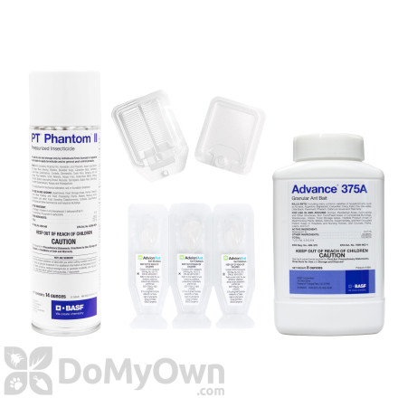 Indoor Ant Kit