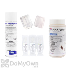 Indoor Ant Kit