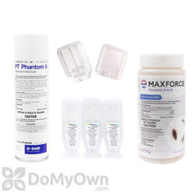 Indoor Ant Kit