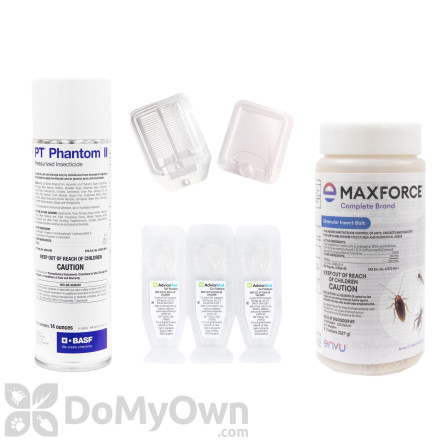 Indoor Ant Kit