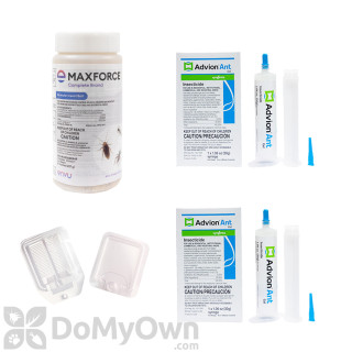 California New York Indoor Ant Kit