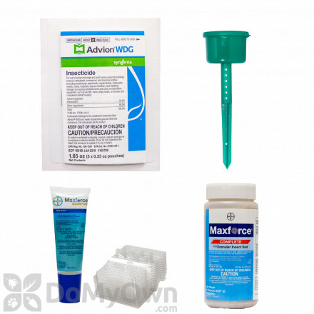 Outdoor Ant Kit