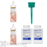 New York Outdoor Ant Kit