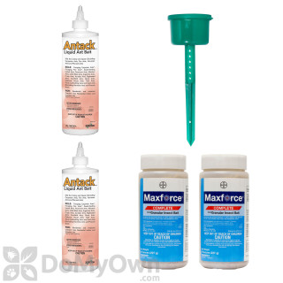 image of New York Outdoor Ant Kit
