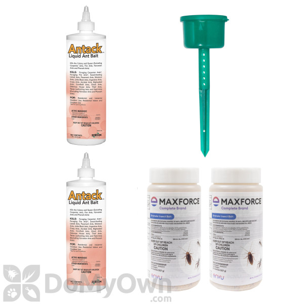 New York Outdoor Ant Kit