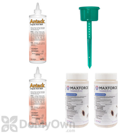 New York Outdoor Ant Kit