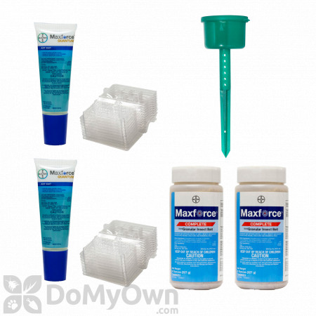 New York Outdoor Ant Kit