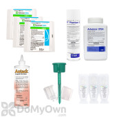 Outdoor / Indoor Ant Kit