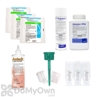 Ant<br>Kits & Products