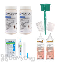 California / New York Outdoor / Indoor Ant Kit