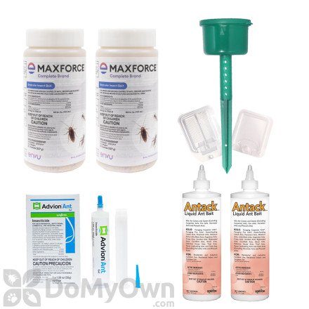 California / New York Outdoor / Indoor Ant Kit