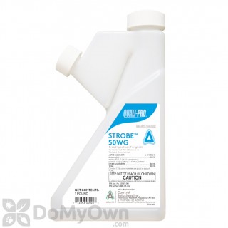 image of Strobe 50WG Fungicide